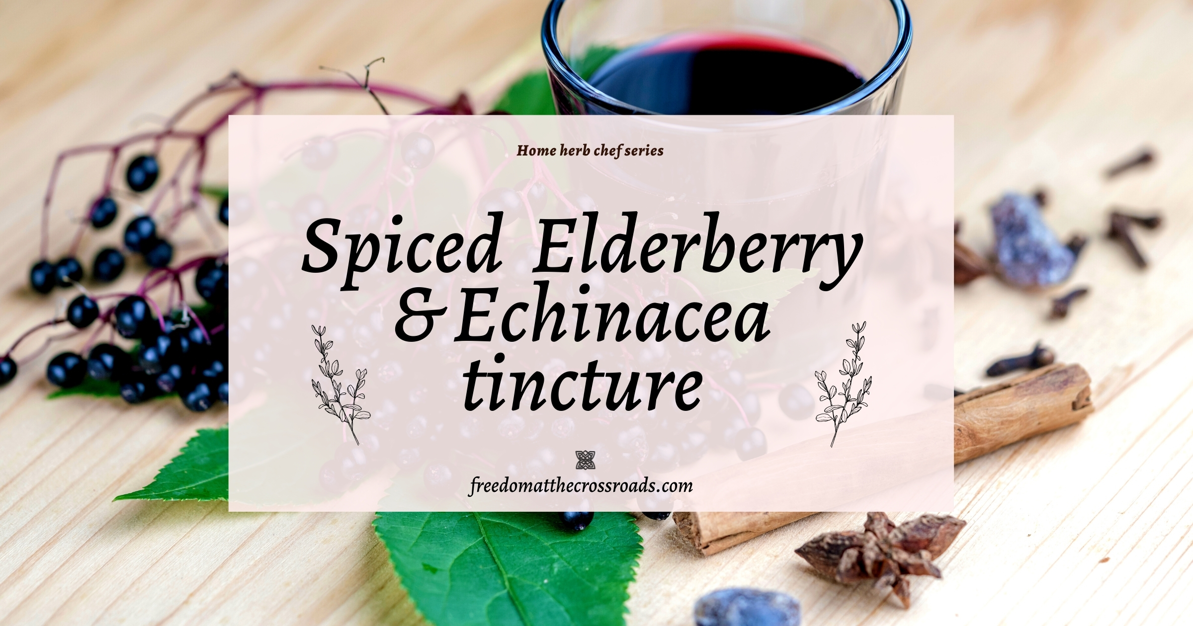 spiced elderberry and echinacea tincture blog feature image