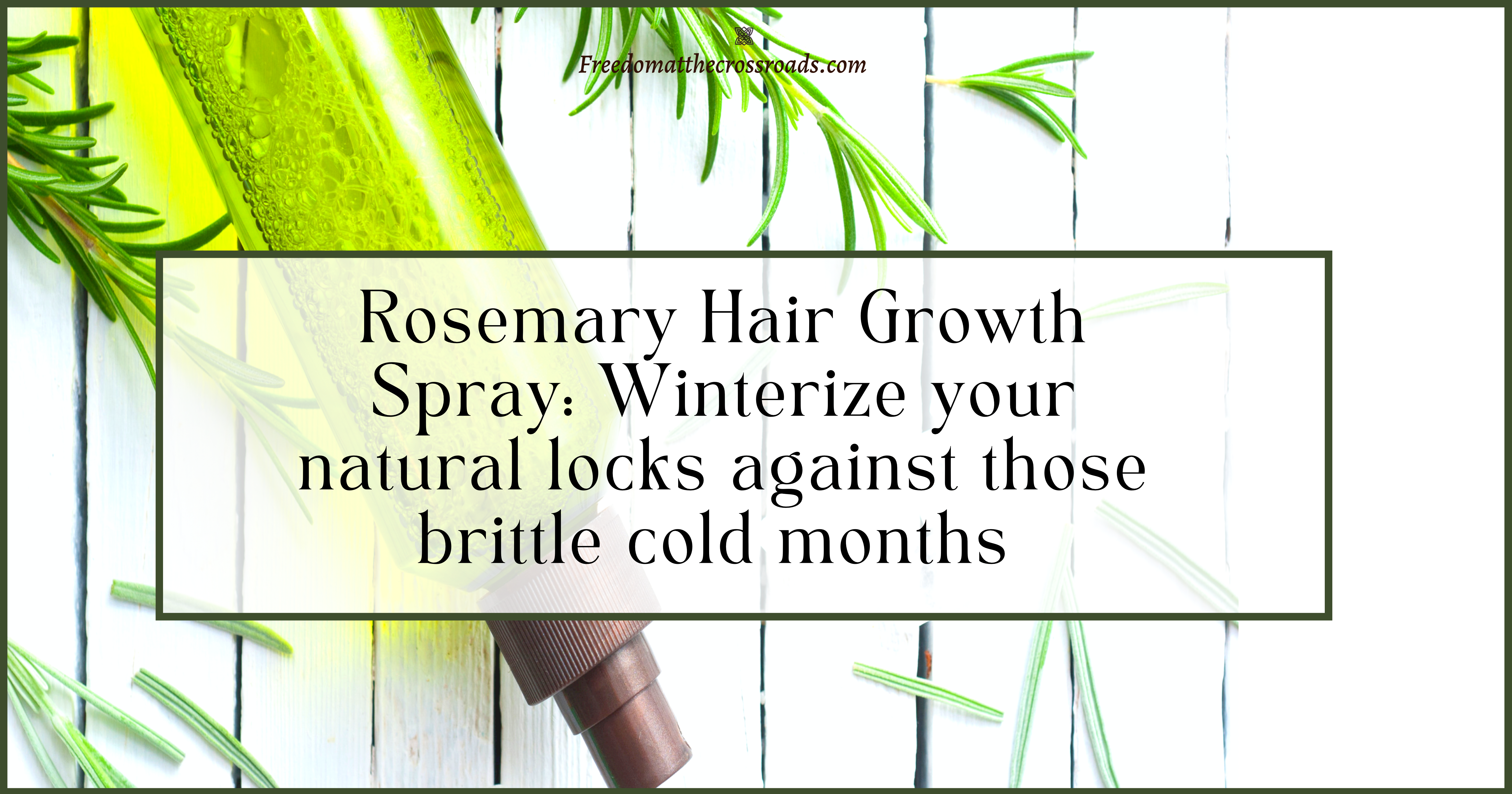 Rosemary hair growth spray blog post image