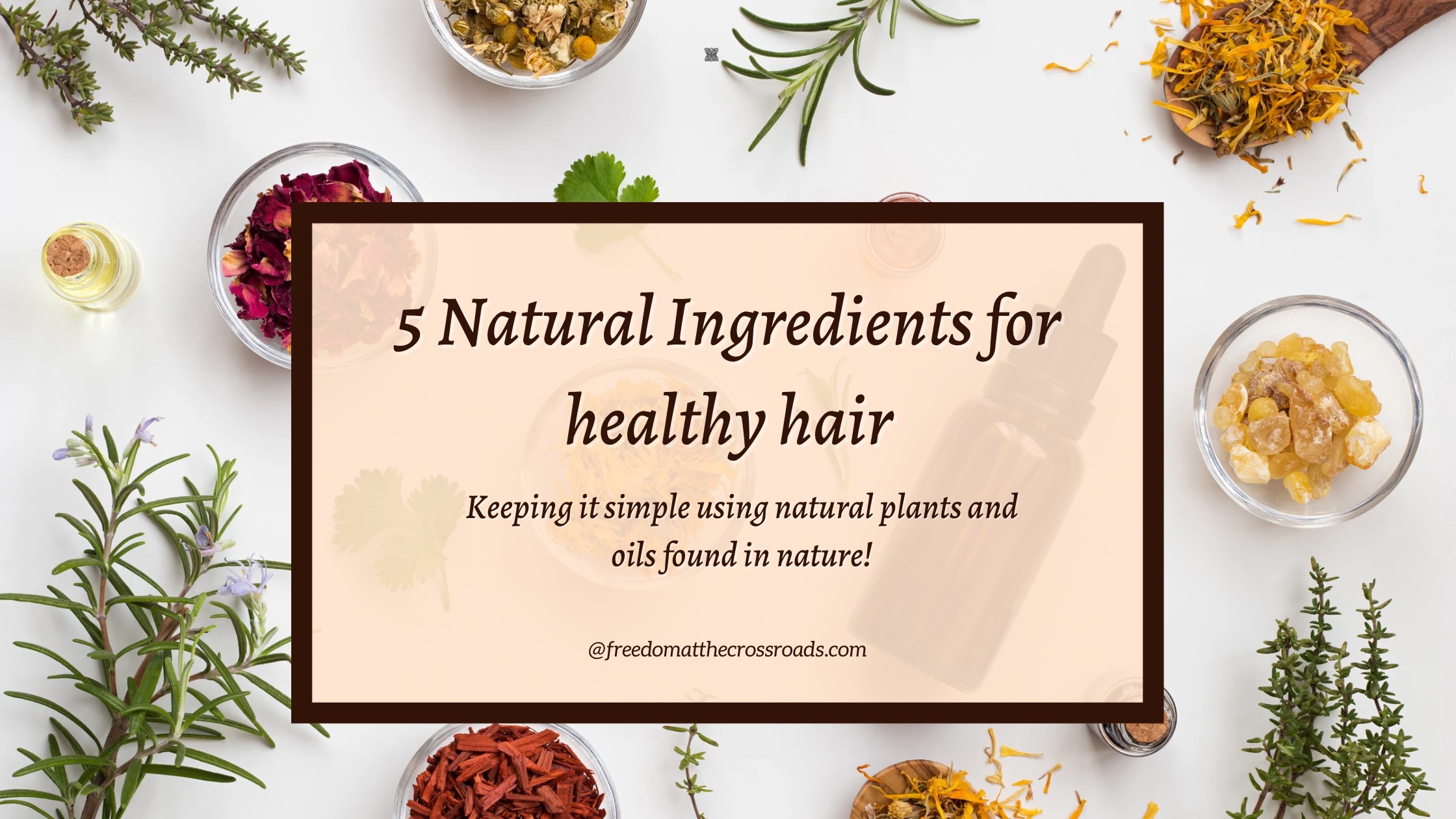 5 natural ingredients for healthy hair blog post image